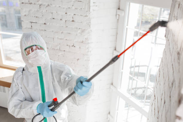 Best Dehumidification Services  in Troutdale, OR