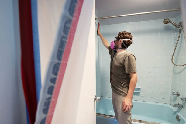 Best Basement Mold Removal  in Troutdale, OR