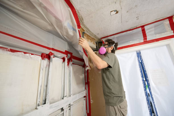 Best Biohazard Mold Removal  in Troutdale, OR