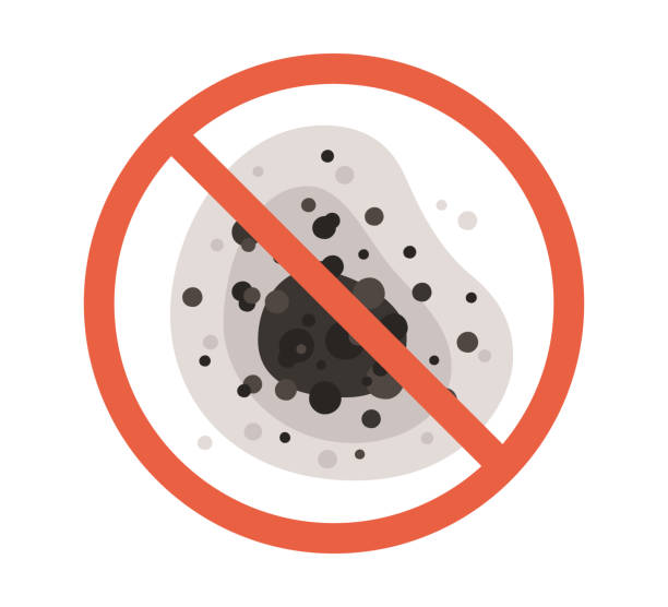Best Mold Odor Removal Services  in Troutdale, OR
