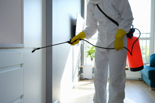 Best Residential Mold Inspection & Testing  in Troutdale, OR