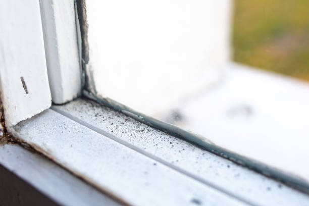 Best Mold Prevention Services  in Troutdale, OR