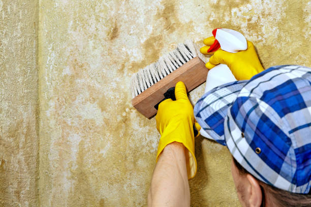 Best Real Estate Mold Inspection  in Troutdale, OR