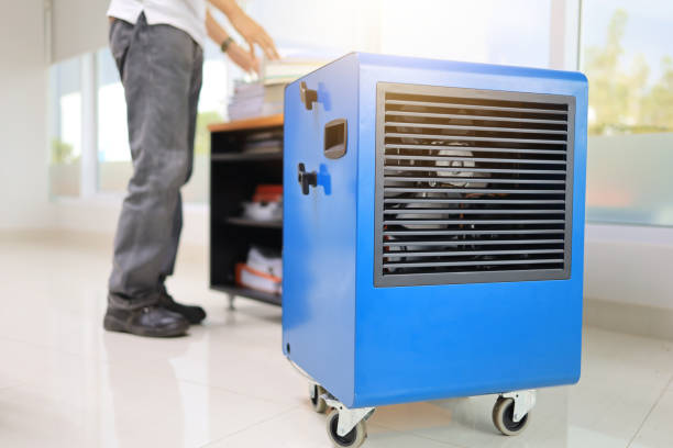 Professional Mold Removal in Troutdale, OR